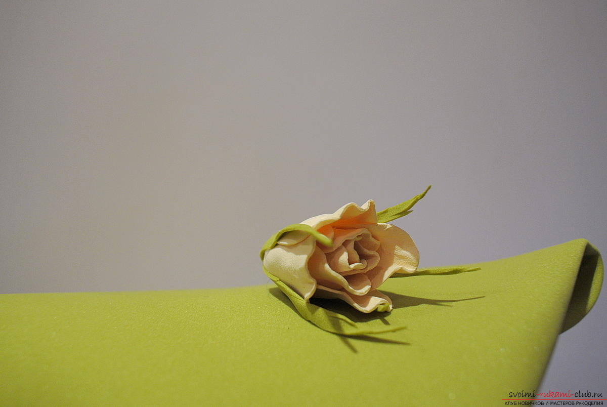 Мастер-класс изготовления украшения своими руками - брошь-заколка с розами из фоамирана.. Фото №7